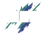 AVF